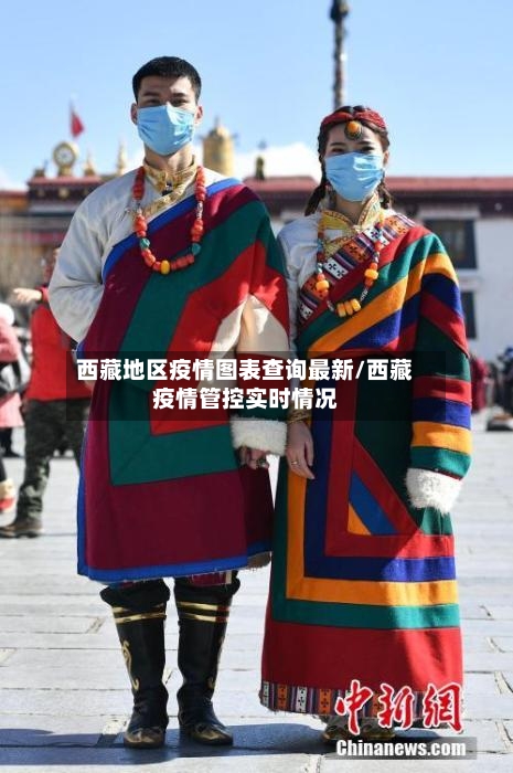 西藏地区疫情图表查询最新/西藏疫情管控实时情况-第3张图片