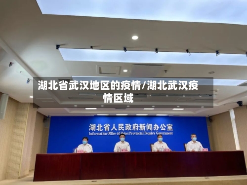 湖北省武汉地区的疫情/湖北武汉疫情区域-第2张图片