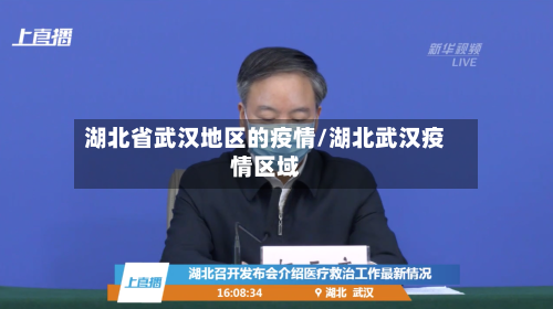 湖北省武汉地区的疫情/湖北武汉疫情区域