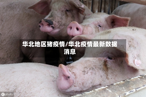 华北地区猪疫情/华北疫情最新数据消息-第2张图片