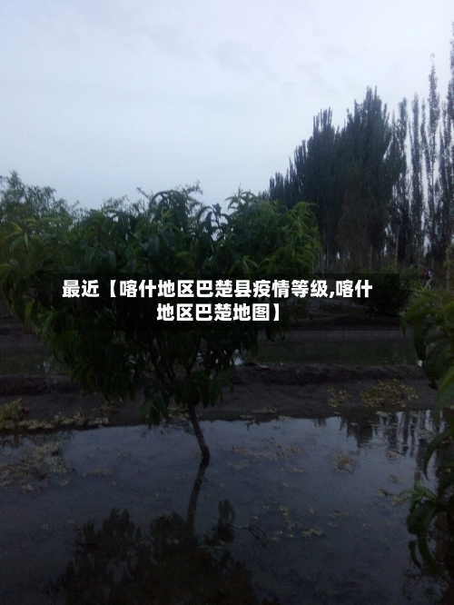 最近【喀什地区巴楚县疫情等级,喀什地区巴楚地图】